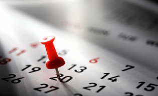 Calendar View