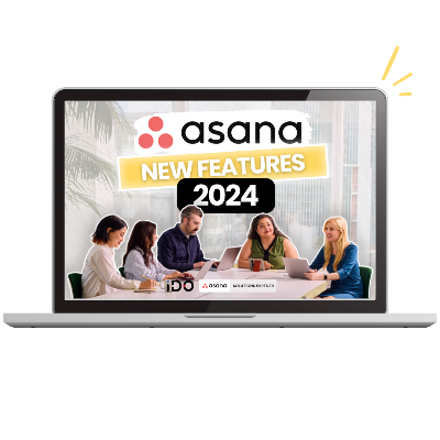 Asana Roadmap 2024
