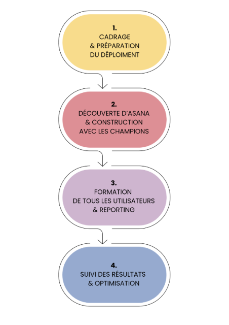 Lancement Asana Diagram