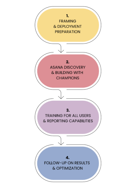 Startup Asana Diagram